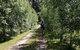 A Place To Stay In Weldborough - thumb 7